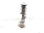 Front wheel hub spindle knuckle