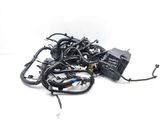 Faisceau de câblage pour moteur