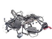 Engine installation wiring loom