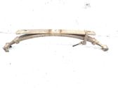 Rear leaf spring