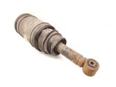 Shock absorber/damper/air suspension