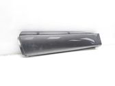 Rear door trim (molding)