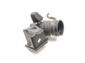 Intake resonator