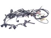 Engine installation wiring loom