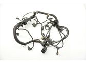 Fuel injector wires