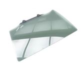 Rear door window glass