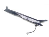 Trunk door license plate light bar