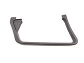 Rear door glass trim molding