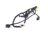 Rear door wiring loom