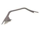 Rear door glass trim molding