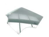 Rear door window glass