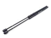 Tailgate/trunk strut/damper