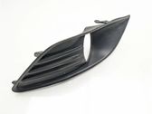 Verkleidung Nebelscheinwerfer / Gitter vorne