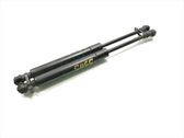 Front bonnet/hood damper/strut