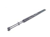 Tailgate/trunk strut/damper