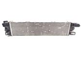 Intercooler radiator