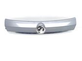 Trunk door license plate light bar