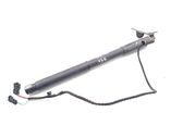 Tailgate/trunk strut/damper