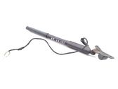 Tailgate/trunk strut/damper