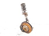 Front wheel hub spindle knuckle
