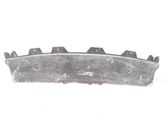 Front bumper skid plate/under tray