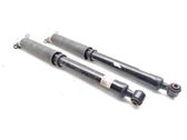 Rear shock absorber/damper