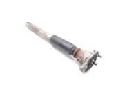 Rear shock absorber/damper