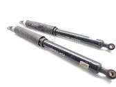 Rear shock absorber/damper