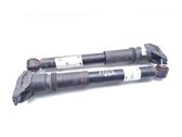 Rear shock absorber/damper