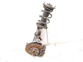 Front wheel hub spindle knuckle