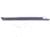 Sill/side skirt trim