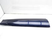 Front door trim (molding)