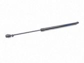 Tailgate/trunk strut/damper