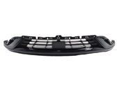 Front bumper lower grill
