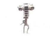 Front shock absorber with coil spring