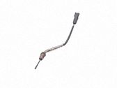 Abgastemperatursensor