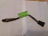 Lambda probe sensor