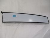 Rear door trim (molding)