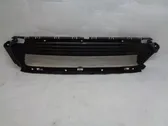 Front bumper lower grill