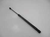 Tailgate/trunk strut/damper