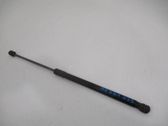 Tailgate/trunk strut/damper