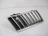 Front bumper lower grill