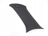 (B) pillar trim (bottom)