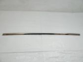 Rear door trim (molding)