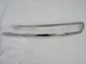 Front fog light trim/grill