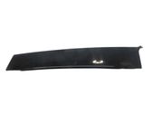 Rear door trim (molding)