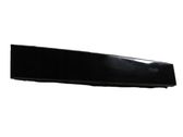 (B) Pillar trim (exterior)