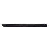 Front door trim (molding)