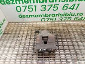 Bremssattel hinten