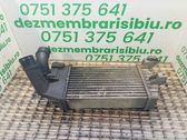 Intercooler radiator